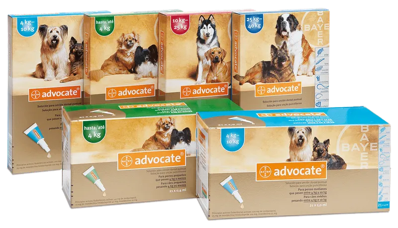 Bayer Advocate Perros, antiparasitarios internos y externos, en el petshop Mecohue de Wilde