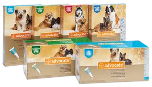 Bayer Advocate Perros, antiparasitarios internos y externos, en el petshop Mecohue de Wilde