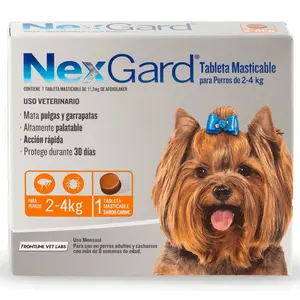 NexGard de Boehringer Ingelheim, antiparasitarios externos, en el petshop Mecohue de Wilde