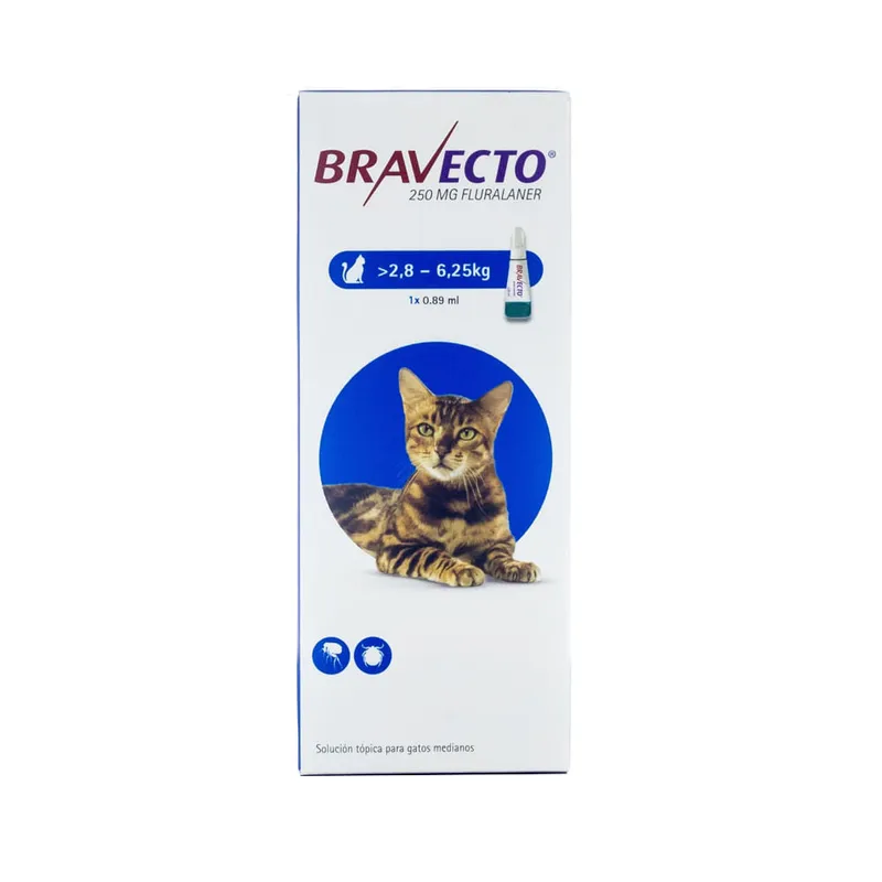 MSD Bravecto Gatos, antiparasitarios externos, en el petshop Mecohue de Wilde