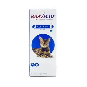 MSD Bravecto Gatos, antiparasitarios externos, en el petshop Mecohue de Wilde