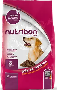 Nutribon Perro Adulto, alimento balanceado, en el petshop Mecohue de Wilde