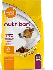Nutribon Perro Adulto Razas Pequeñas, alimento balanceado, en el petshop Mecohue de Wilde