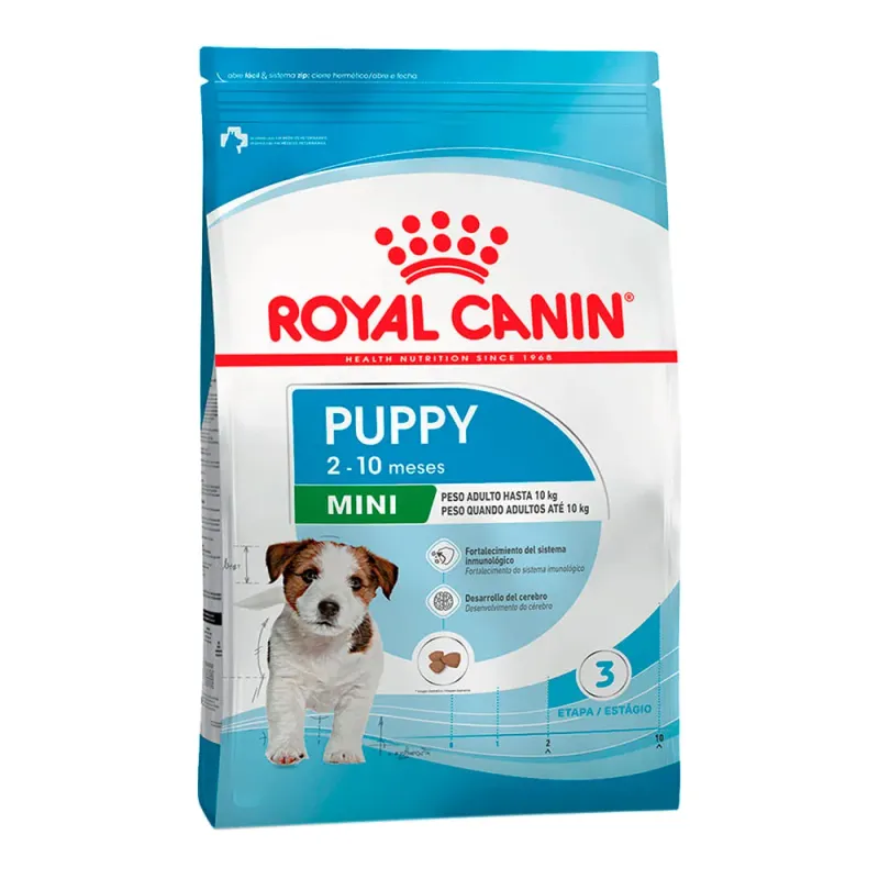 Royal Canin Dachshund Puppy, alimento balanceado, en el petshop Mecohue de Wilde