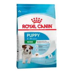 Royal Canin Dachshund Puppy, alimento balanceado, en el petshop Mecohue de Wilde