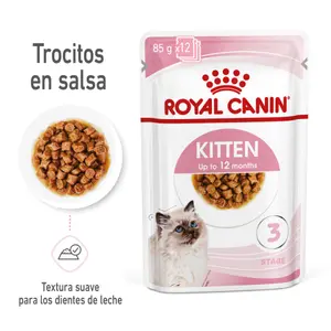 Royal Canin Kitten Gato Pouch, alimento húmedo (latas y pouch), en el petshop Mecohue de Wilde