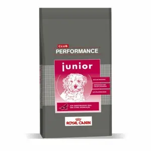 Royal Canin Performance Junior, alimento balanceado, en el petshop Mecohue de Wilde