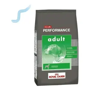 Royal Canin Performance Perro C, alimento balanceado, en el petshop Mecohue de Wilde