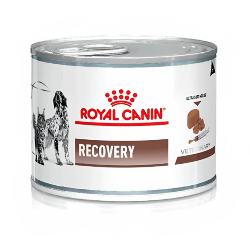Royal Canin Recovery Lata, alimento medicado, en el petshop Mecohue de Wilde